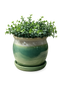 Handmade Ceramic Indoor Planter with Drainage Tray – Modern Stoneware Plant Pot for Houseplants, Succulents & Home Decor